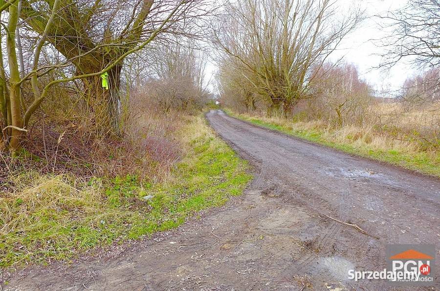 Grunt na sprzedaż 740m2 Niechorze 187zł/m2 Grunty i działki zachodniopomorskie
