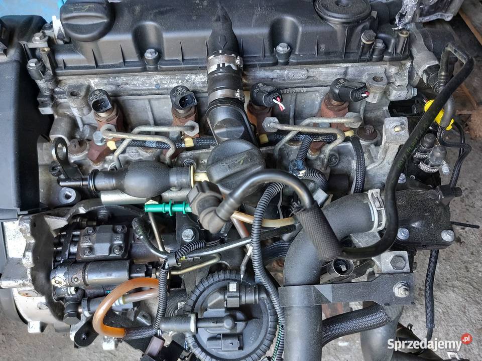 Silnik 20 HDI RHY 10DYSA Citroen Peugeot Strzelce Krajeńskie