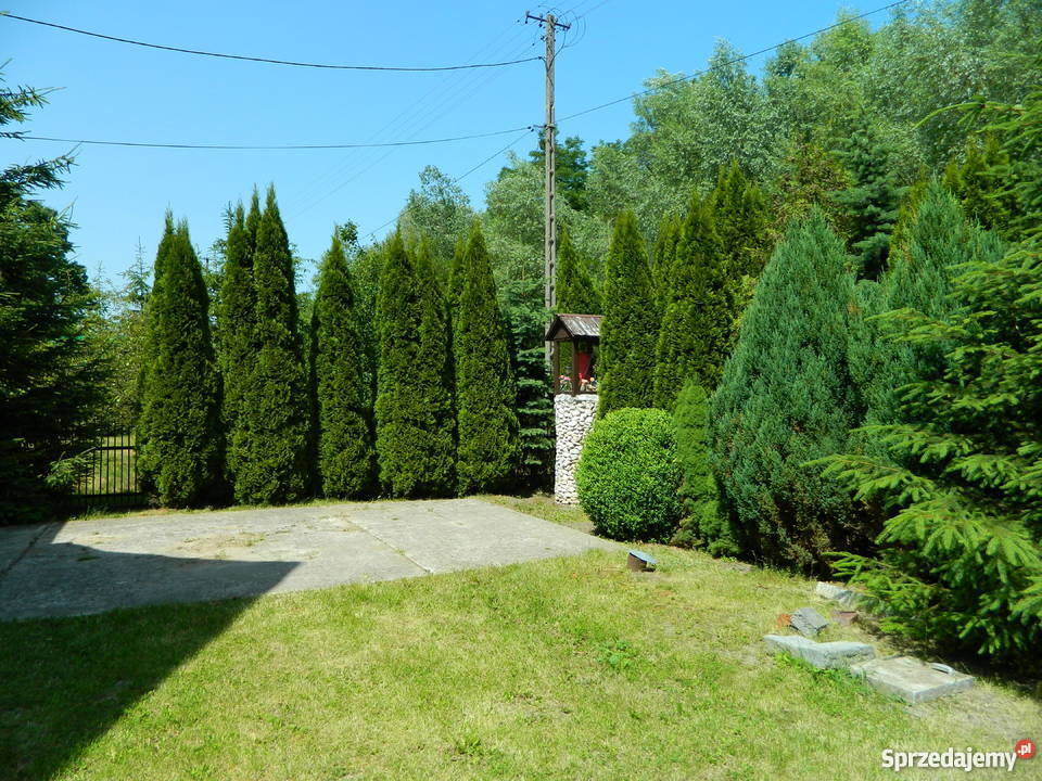 Piękny Dom do sprzedania kNowego Korczyna Rok budowy 2008 Rzegocin