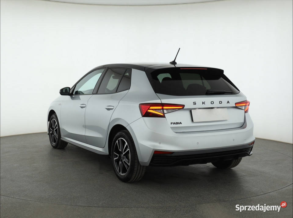 Skoda Fabia 10 TSI srebrny Piaseczno