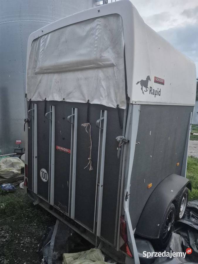 przyczepa koni rapid humbaur Nielisz