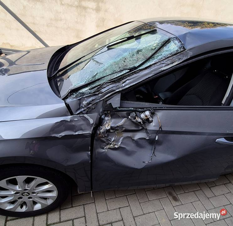 Seat Leon 14 TSI 122 Benzyna sprowadzony wielkopolskie Leszno