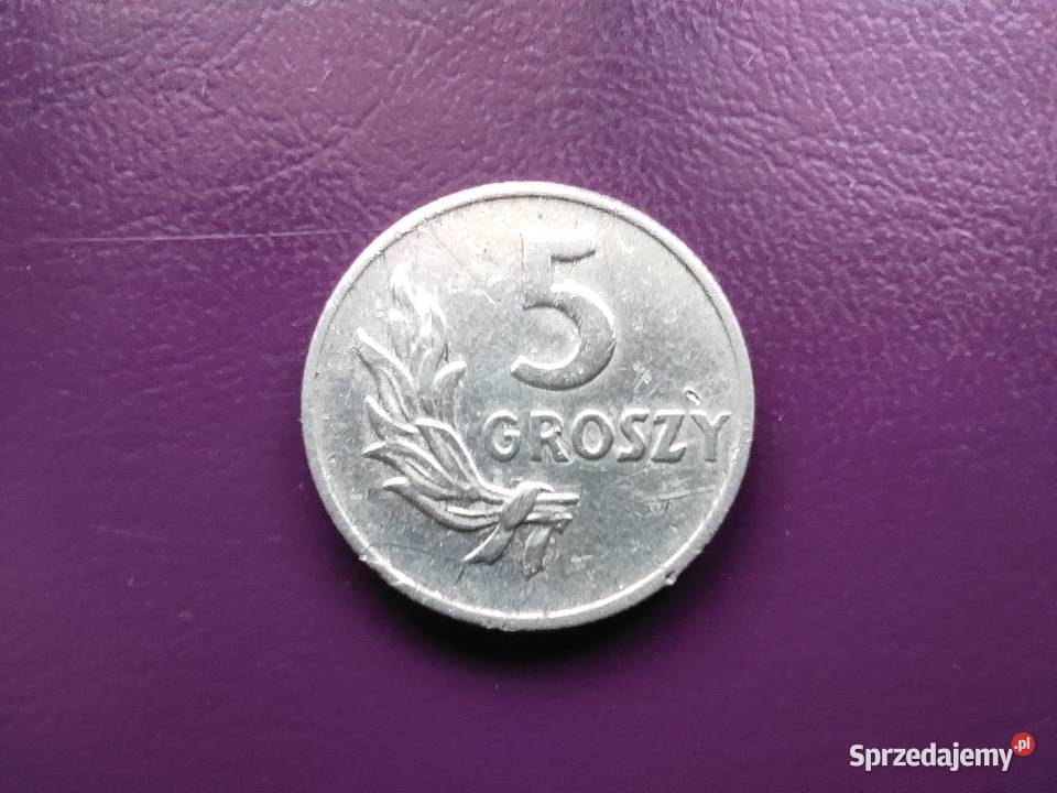 Moneta z PRLu 5 groszy 1949 Rzadka i ładna Pruszków