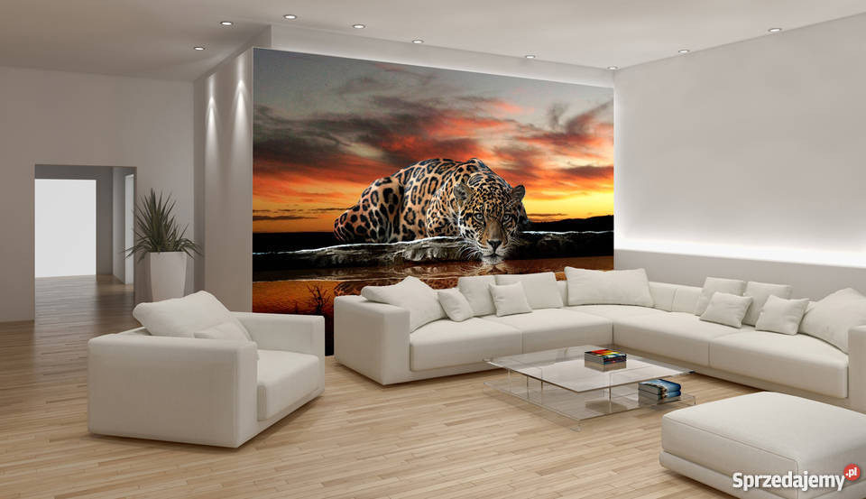 Tapeta fototapeta Jaguar wielkopolskie Leszno