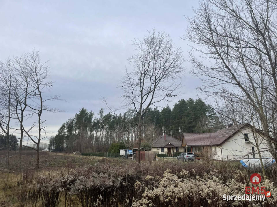 Działka 6000m2 Skrybicze 120m sprzedam