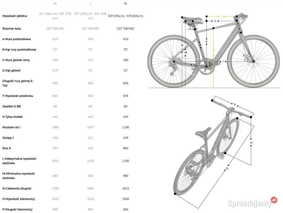 Świetny Fiido C21 gravel lekki miejski ebike Rowery elektryczne Tarnobrzeg