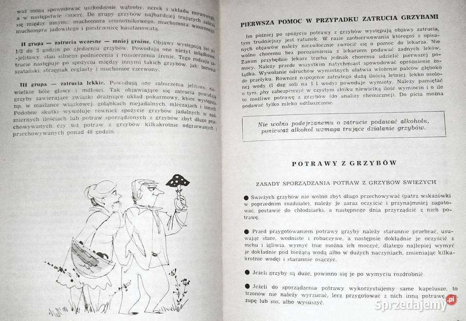 Potrawy i przetwory z grzybów Ilona Dąbrowa Chełm