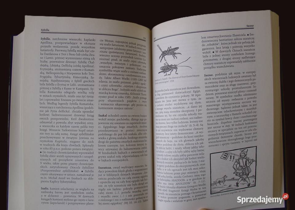 Leksykon symboli Hans Biedermann Łódź sprzedam