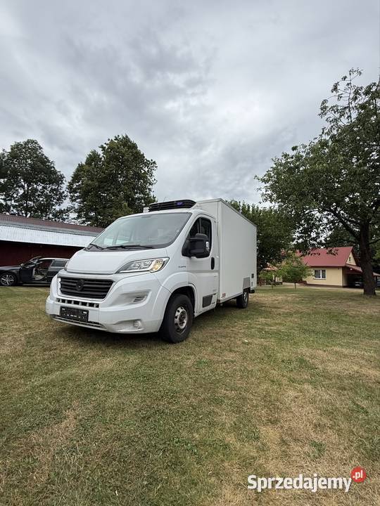 Fiat Ducato 23 chłodnia 2017 Motoryzacja