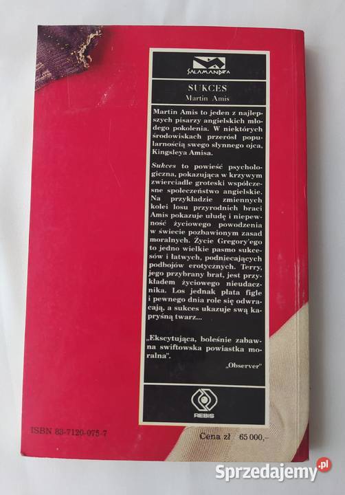 SUKCES Martin Amis Proza i poezja Hajnówka