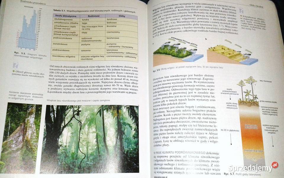 Geografia Cz 1 LO i technikum Dorota Makowska Chełm sprzedam