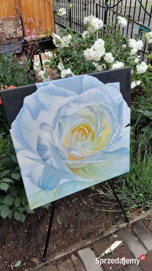 Piękne autorskie obrazy olejne na płótnie Brwinów sprzedam