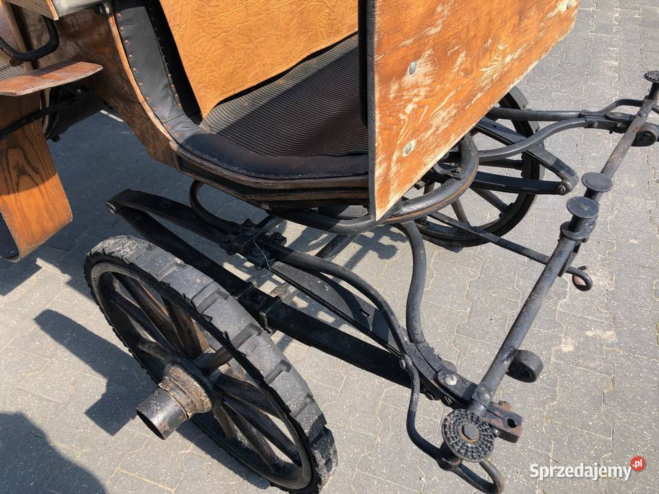 Kucyk 4 lata paszport Konie Andrespol