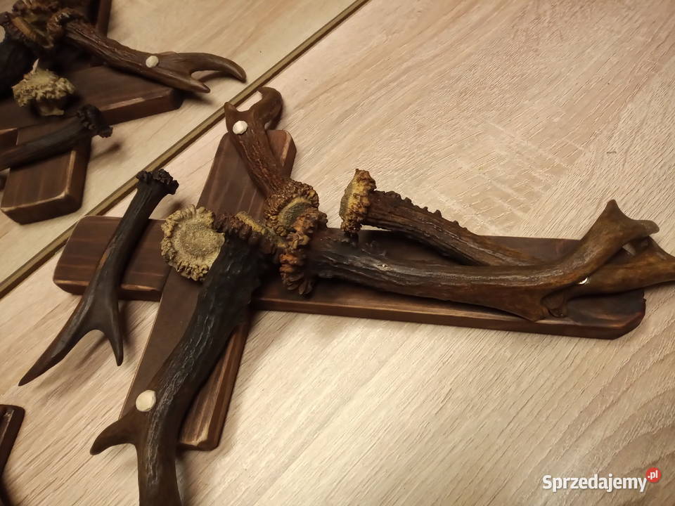 Krzyż z poroża podkarpackie Leżajsk sprzedam