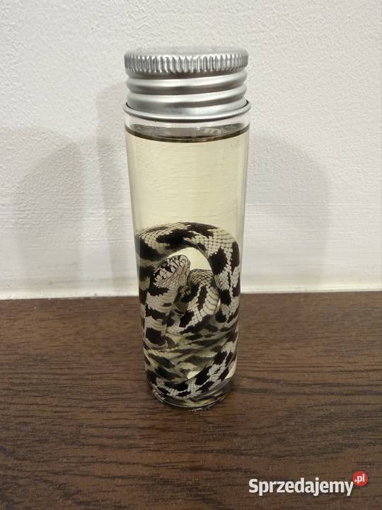 Wąż w butelce ozdoba mazowieckie