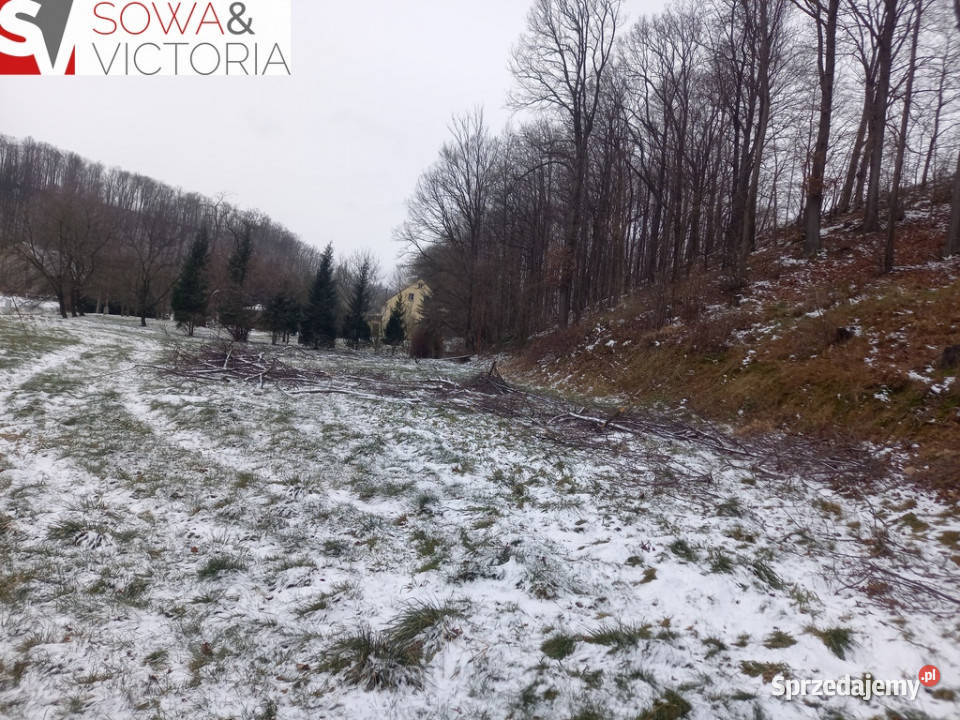 Działka budowlana z lasem Chwaliszów