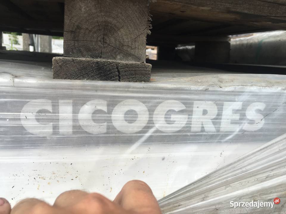 Glazura płytka ścienna ice rihn mate 30x90 firmy Reguły