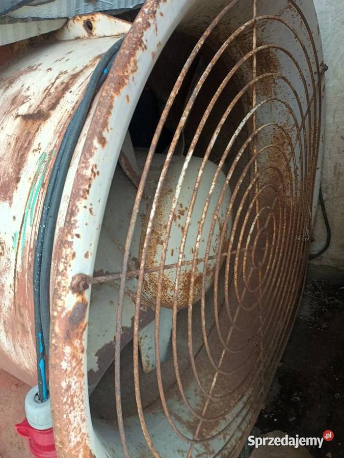 Sprzedam wentylator do czyszczenia cebuli i kujawsko-pomorskie Inowrocław