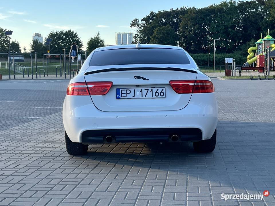 Jaguar XE Rok produkcji 2019 Dworszowice Pakoszowe