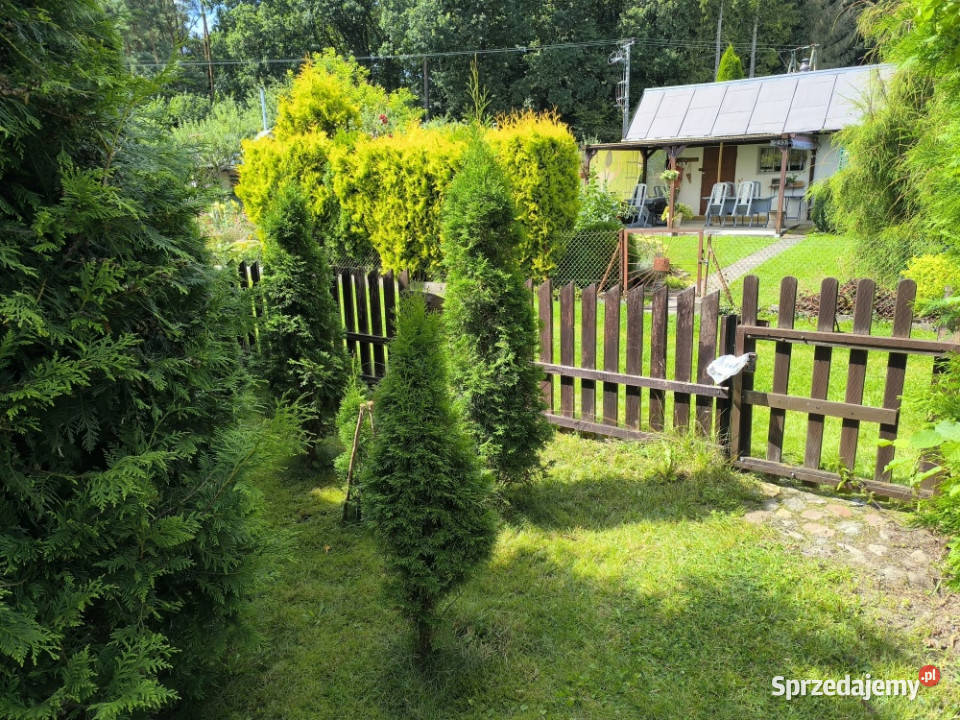 Działka ROD z przyczepą morzem 140zł/m2 Niekłonice