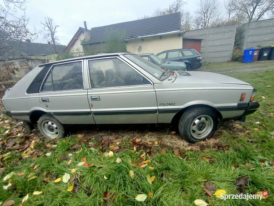 Polonez Borewicz