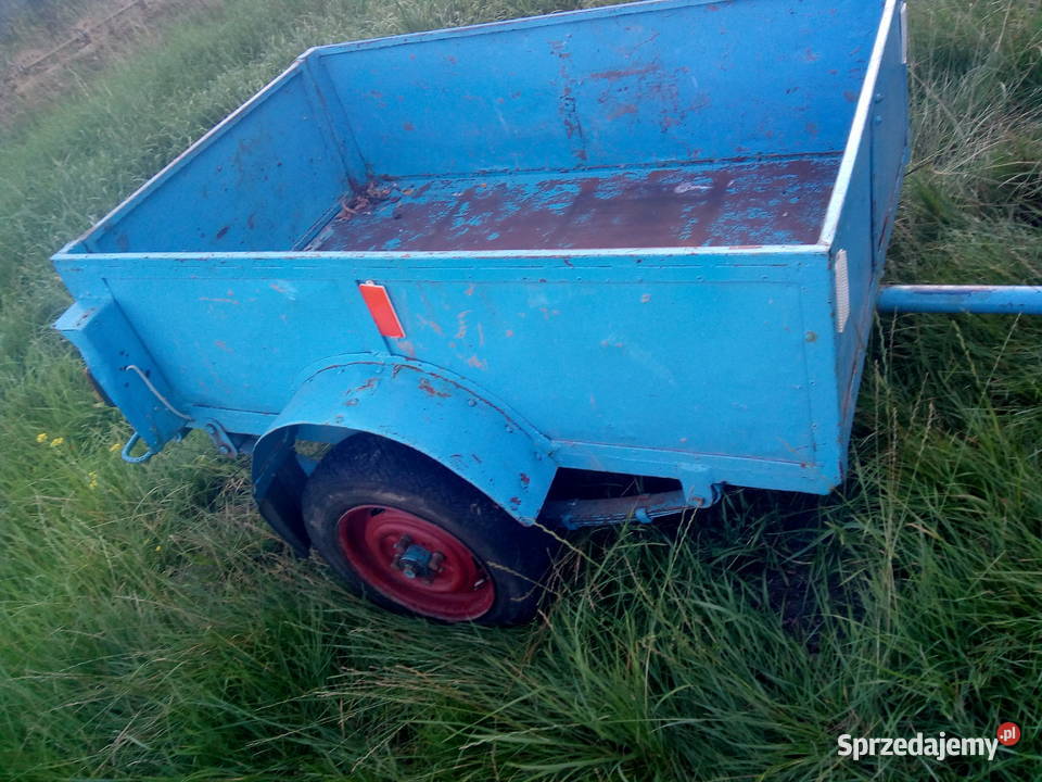 Przyczepka lekka DMC750 zarejestrowana Pobiedziska