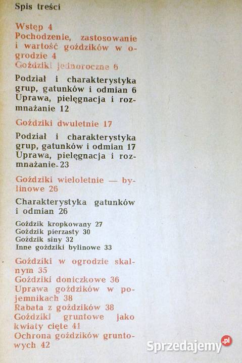 Goździki w ogródku Rabatowe skalne Kazimierz Chełm