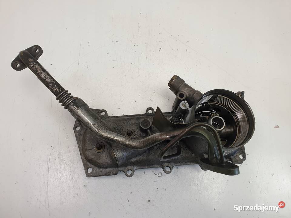 CHŁODNICZKA EGR Nissan Patrol Y61 30 DI Recyrkulacja spalin EGR lubelskie sprzedam