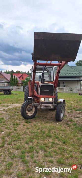 Massey ferguson 590 Massey Ferguson Mieczyn