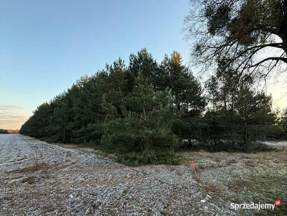 Działki budowlane na sprzedaż Józefowo k Słupcy