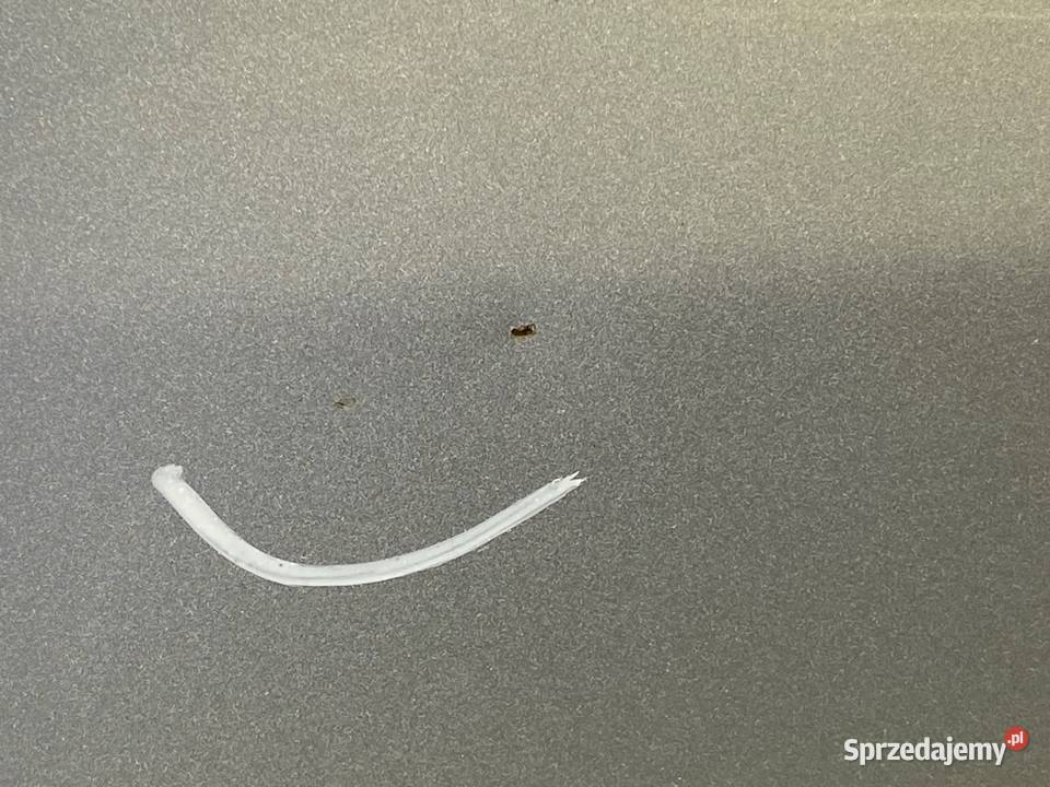 DRZWI LEWY PRZÓD RENAULT MEGANE III Hatchback osobowe podkarpackie