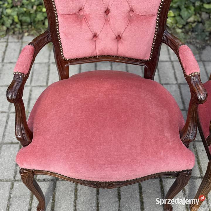 ARTexpert Para foteli Filip Ludwik fotel Dobrzany