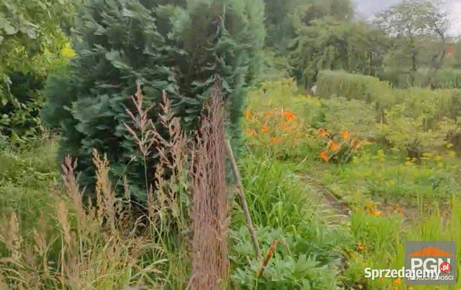 Mieszkanie 6112m2 2 pokojowe Gryfice