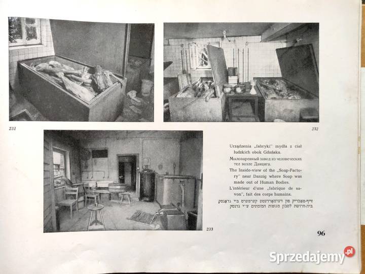 ZAGŁADA żydostwa polskiego Album zdjęć Łódź 1945 Gdynia sprzedam