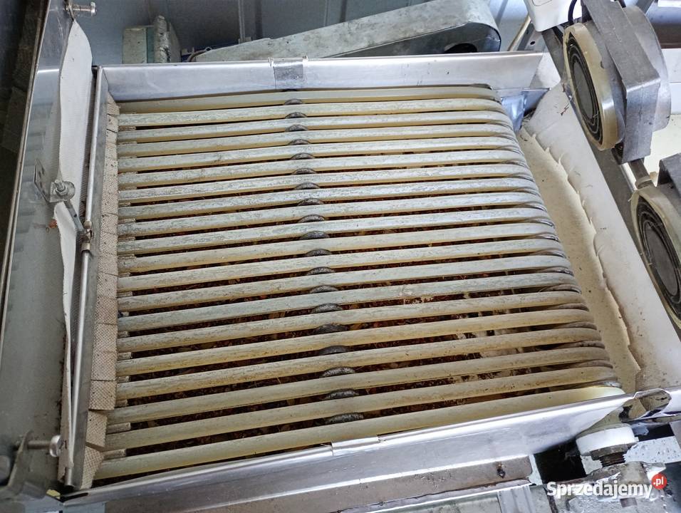 Sortownik do borówki Zwoleń