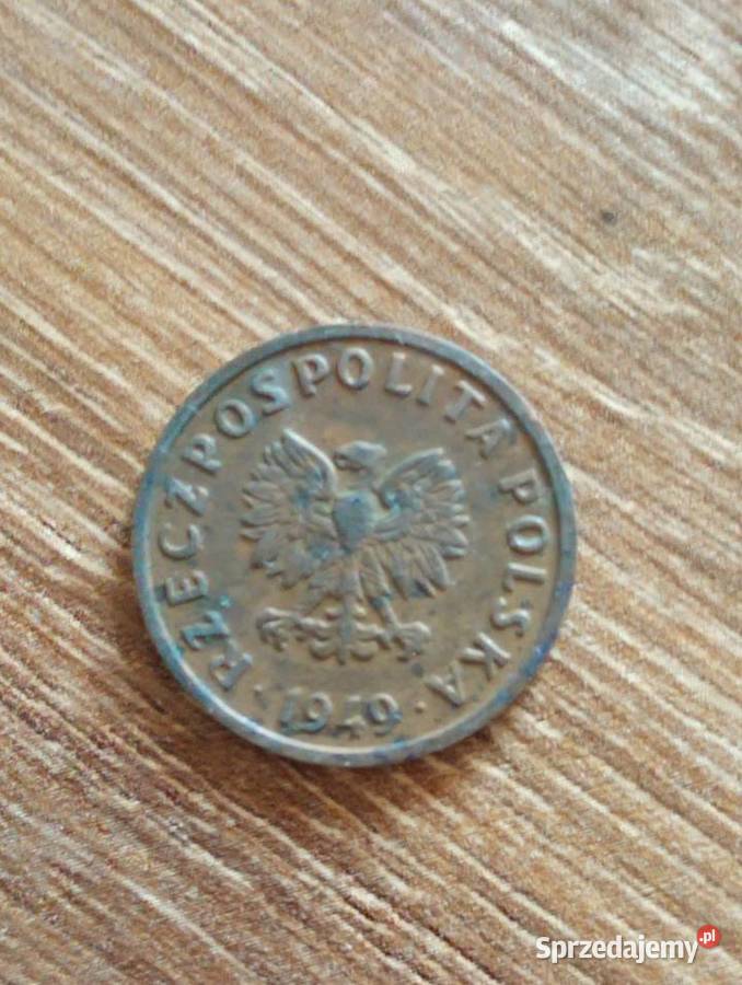 Sprzedam monete 5 groszy 1949 r bzm Chełm