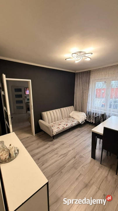 Na sprzedaż siedlisko Ratyń 3ha Warty wielkopolskie sprzedam