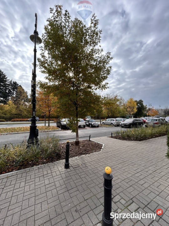 Widna ustawna kawalerka Stary Żoliborz piwnica Warszawa