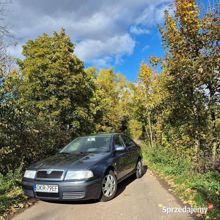 Skoda octavia Cisek