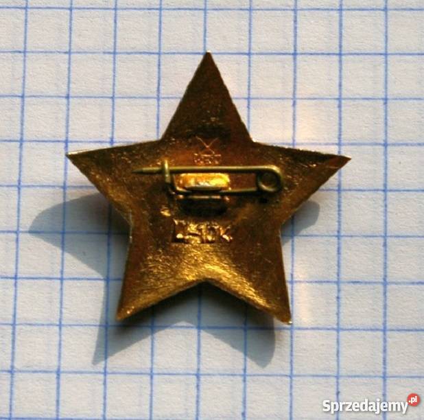MŁODY LENIN ODZNAKA NADAWANA MŁODSZYM PIONIEROM lubelskie sprzedam