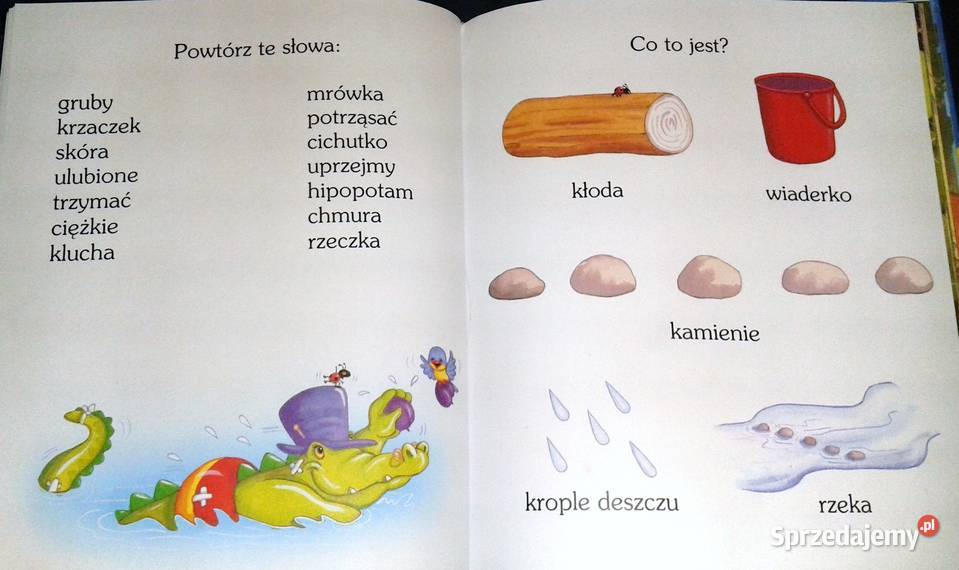 Uczę się Czytać Zwierzaki w tarapatach Patrycja Chełm