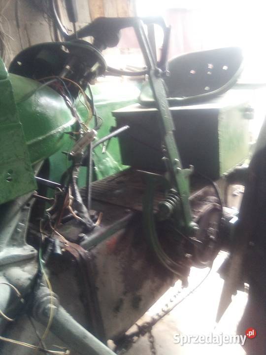 Mario 889 705 549 świętokrzyskie Łopuszno