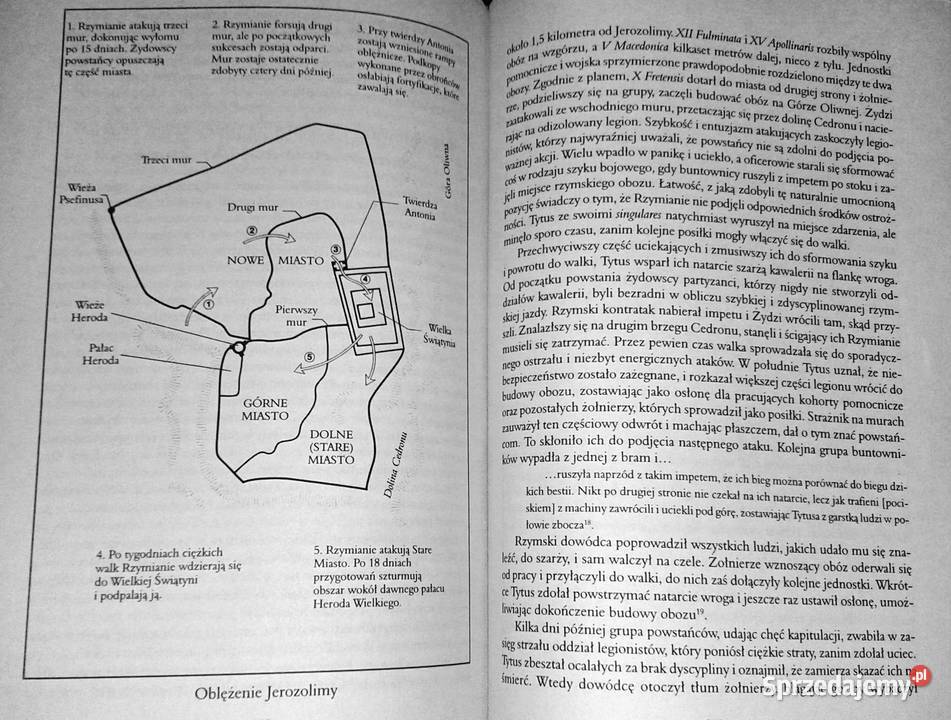 W imię Rzymu Adrian Goldsworthy lubelskie