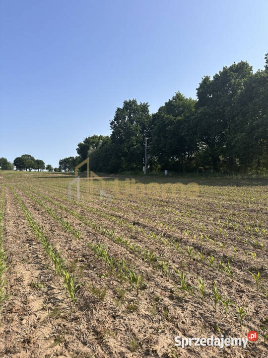 Działka z WZabudowy w Radzanku GmMaszewo zachodniopomorskie Radzanek