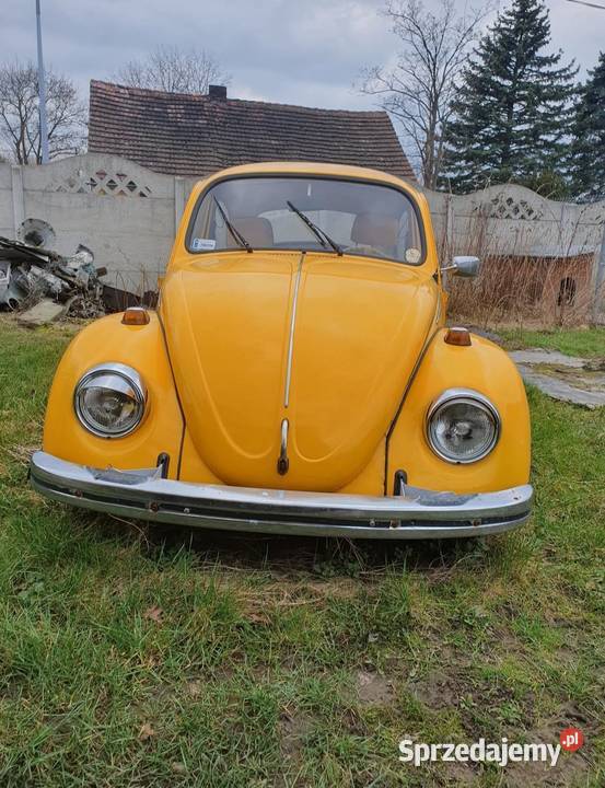 Volkswagen Beetle dolnośląskie Zgorzelec