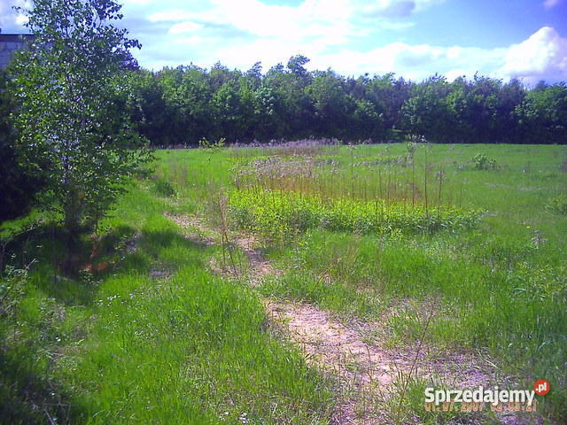 Działki Załuski Załuski