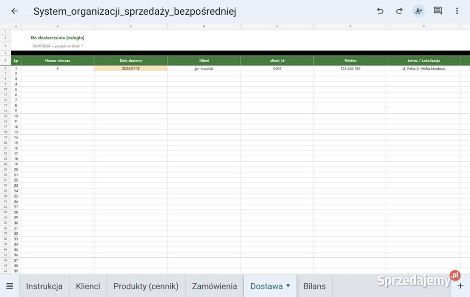 Sprzedaż bezpośrednia system Excel Racławice sprzedam