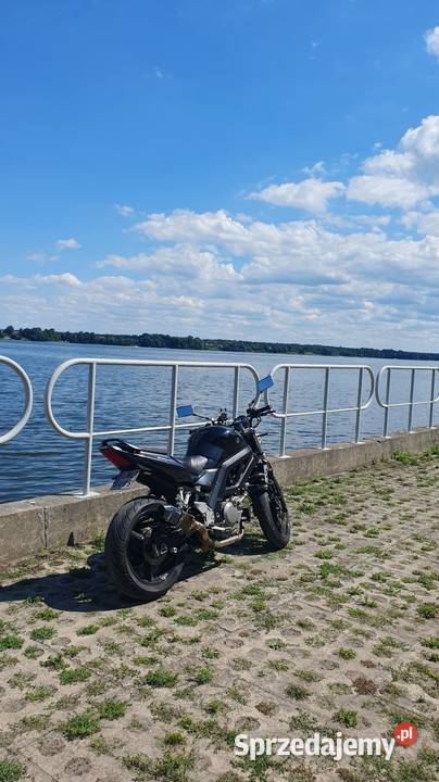Suzuki SV650 K6 A2 Gaj Czernięciński