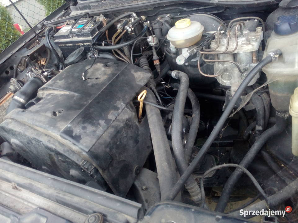 Audi 80 B4 Avant 19 TDI 80 Ząbkowice Śląskie