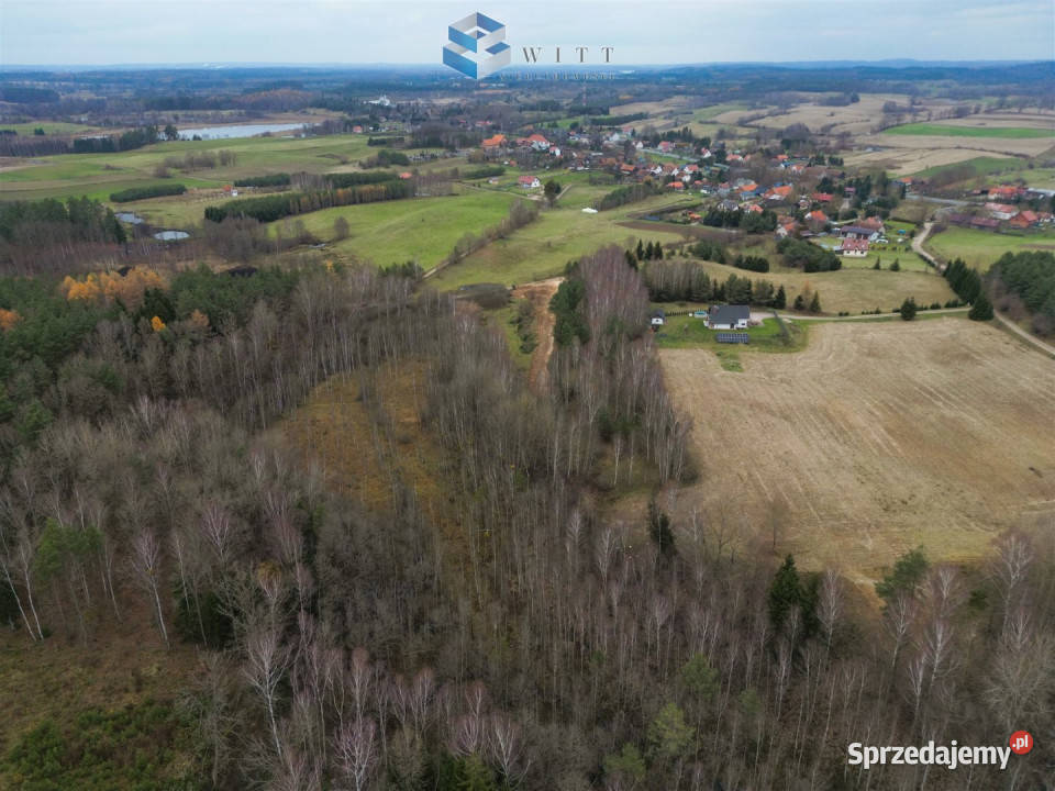 Działka 30000m2 Florczaki prąd Sprzedaż sprzedam